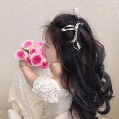 蝴蝶公墓